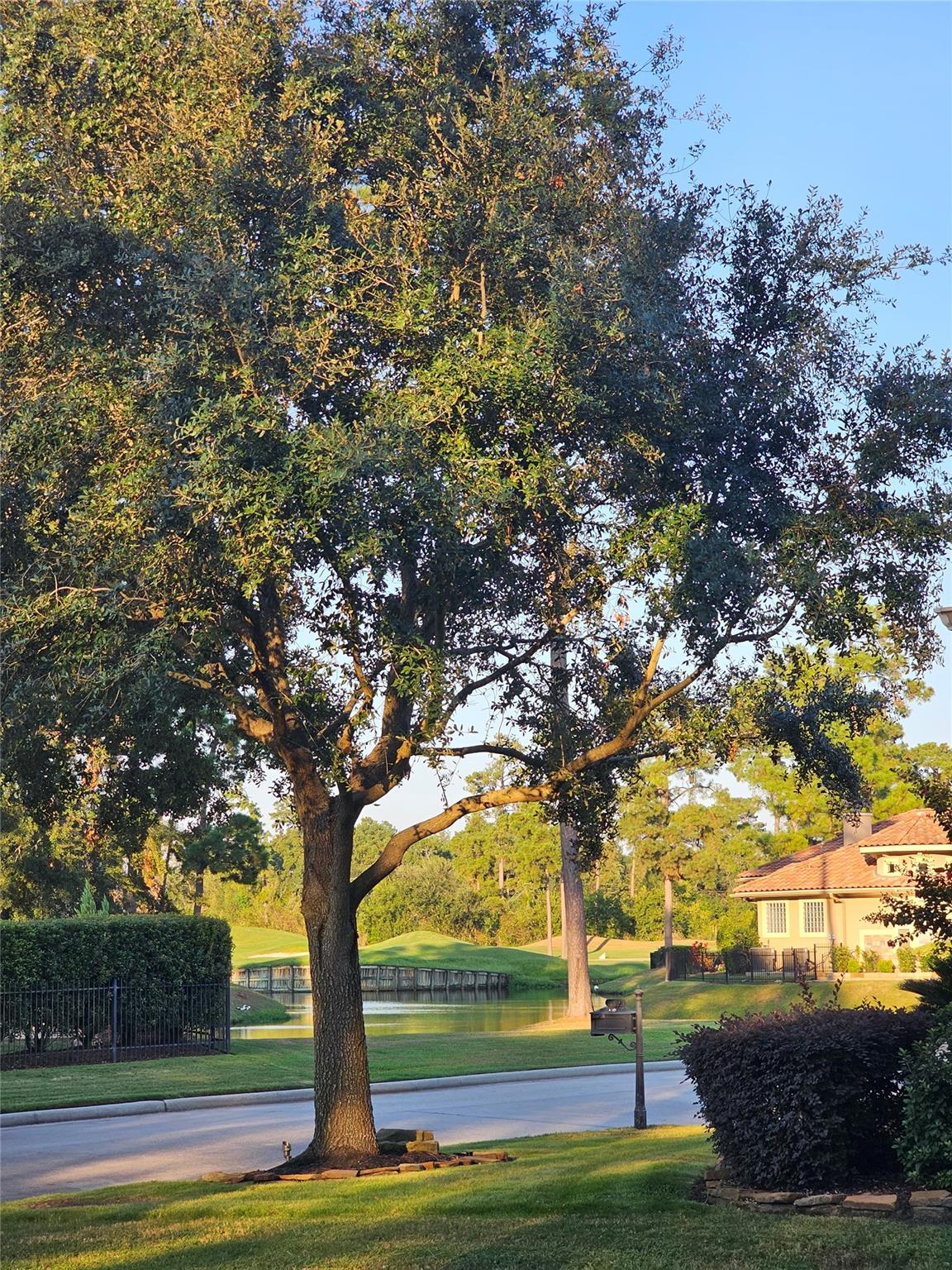 16019 Bridge Fairway Ln, Houston, TX 77068 photo