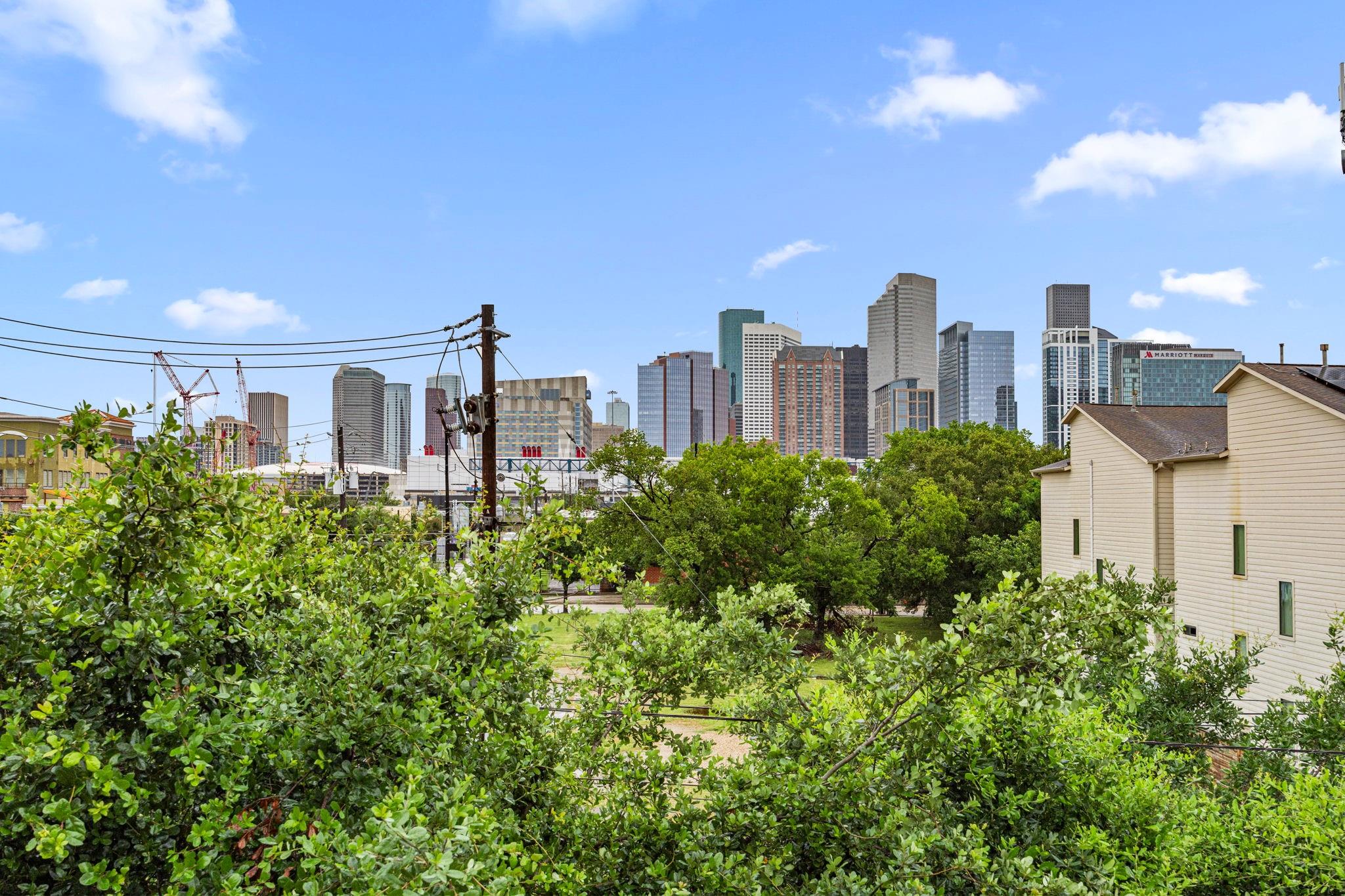 1119 Saint Charles St, Houston, TX 77003