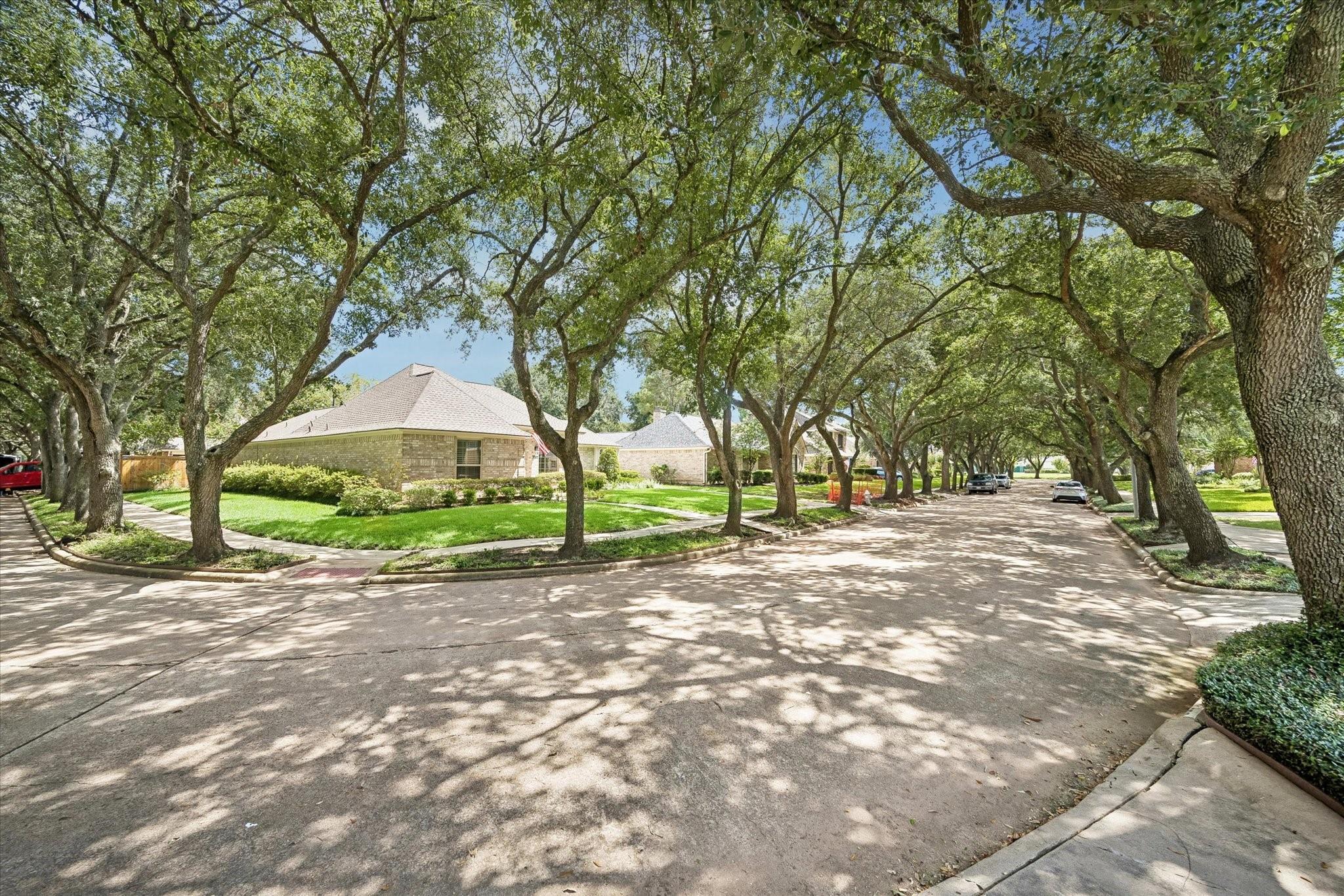 3007 W Steepbank Cir, Sugar Land, TX 77479 photo