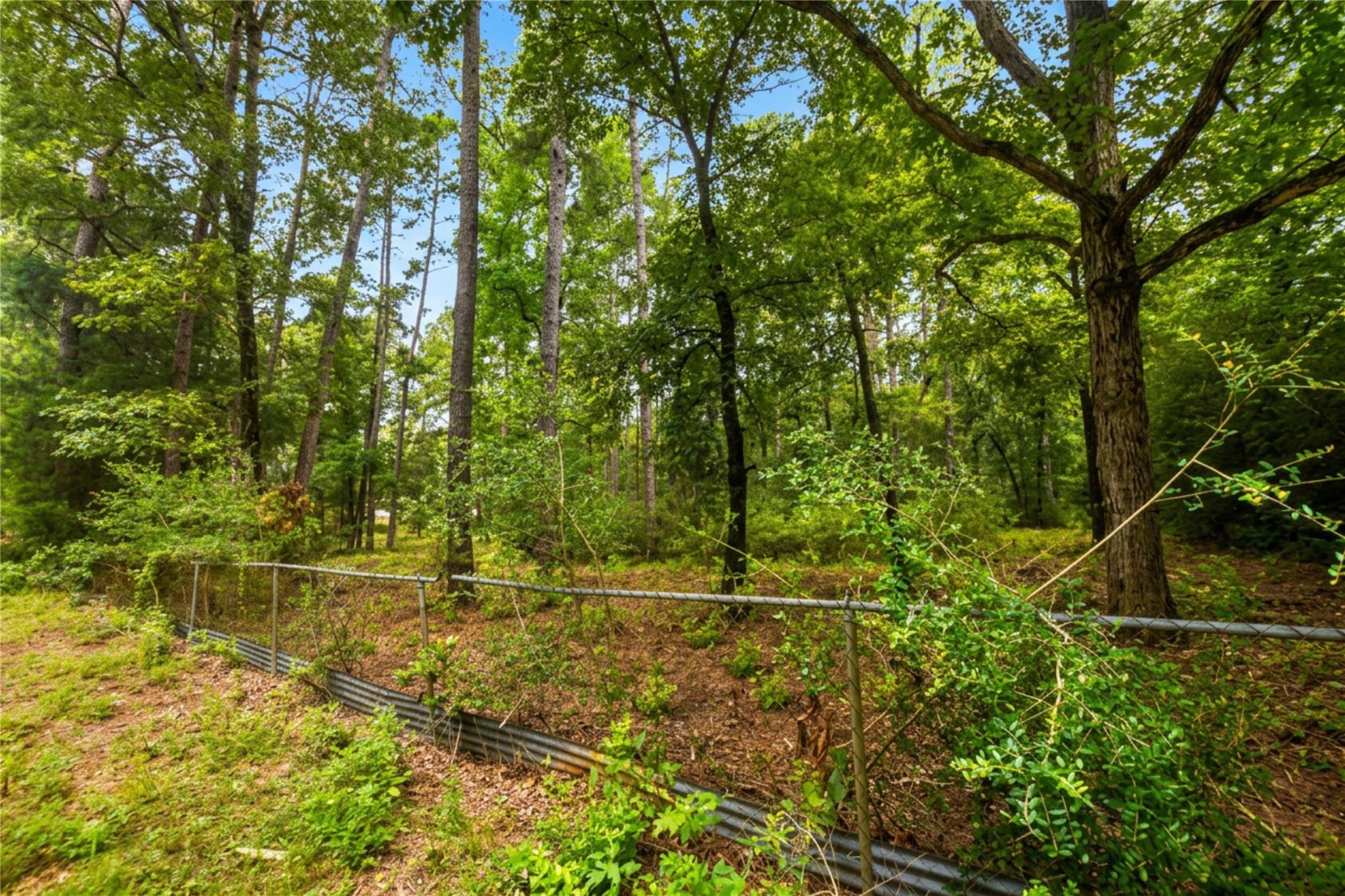 14377 Gibbs Pipeline Rd, Willis, TX 77378 photo