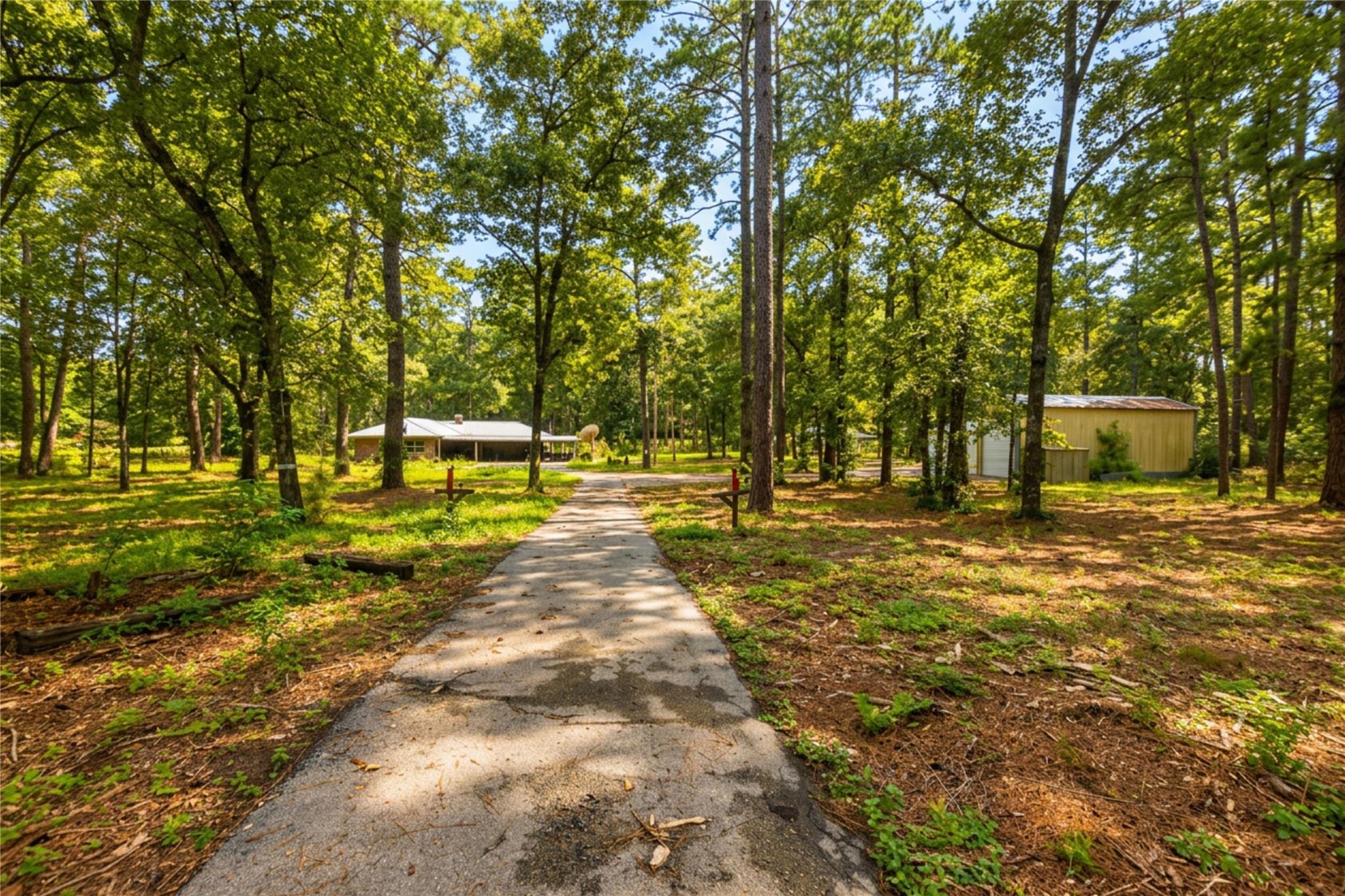 14377 Gibbs Pipeline Rd, Willis, TX 77378 photo