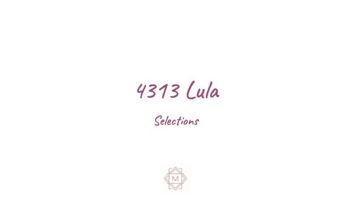 4313 Lula St, Bellaire, TX 77401 photo