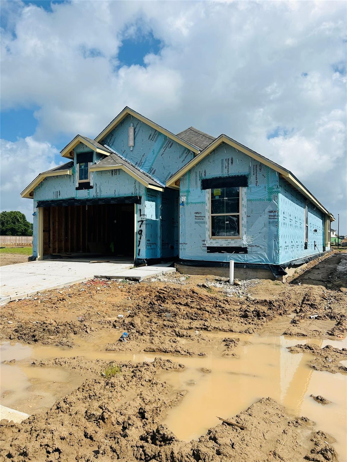 17911 Oakwood Stream Dr, Webster, TX 77598