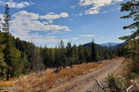  in Haugen MT 114a Packer Creek.jpg