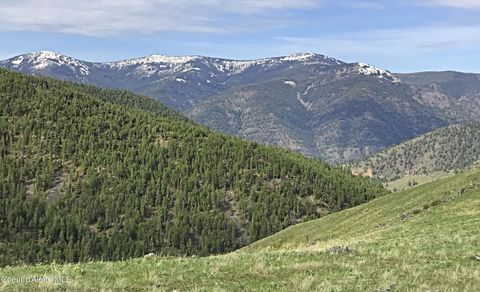  in Plains MT NHA McLaughlin Creek.jpg