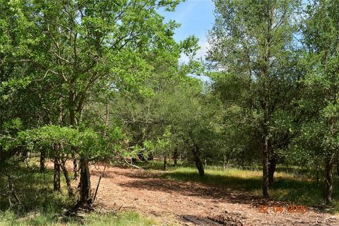  in New Braunfels TX 240 Caney Creek RD.jpg