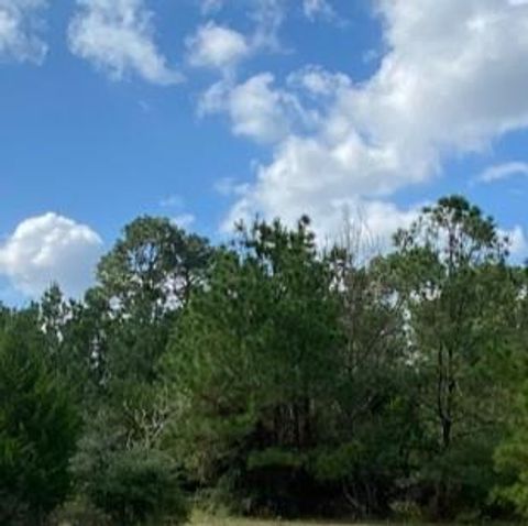  in Hunt TX 230 Cougar Park RD.jpg