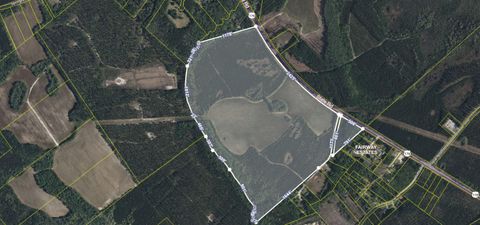  in Ridgeville SC 4391 State Road.jpg