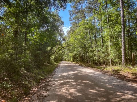  in Wadmalaw Island SC 2127 Leadenwah Drive.jpg