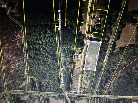  in Wadmalaw Island SC 1476 Hezkiah Road.jpg