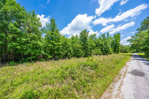  in Branchville SC 0 Park Circle.jpg