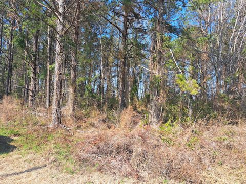  in Santee SC 01 Sheard Drive Dr.jpg