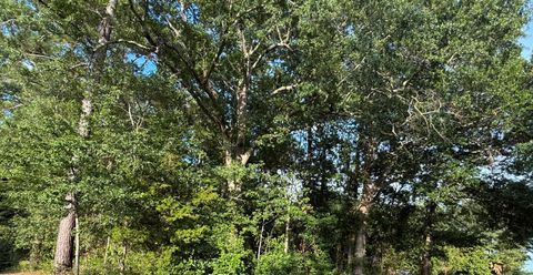  in Orangeburg SC 0 Hidden Drive.jpg