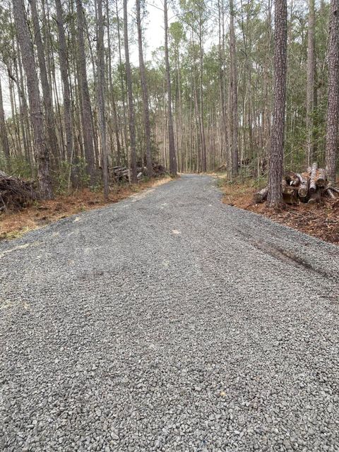  in Adams Run SC 6774 Spring Grove Road 4.jpg