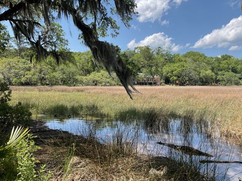  in Edisto Island SC Lot 1 Loafers Glory Lane.jpg