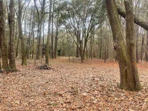  in Edisto Island SC 1661 Blues Lane.jpg