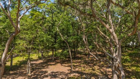  in Edisto Island SC 31 Tupelo Trail.jpg