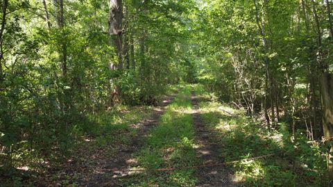  in Ridgeville SC 0 Rudd Road.jpg