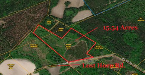  in Branchville SC 0 Lost Horn Road.jpg