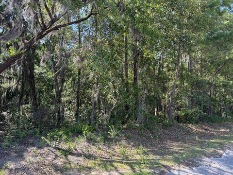  in Eutawville SC Tract 2 Tabernacle Road.jpg