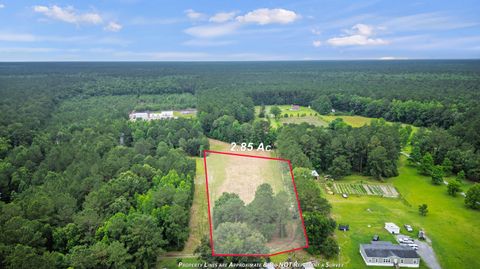  in Bonneau SC 191 Marion Woods Trail.jpg