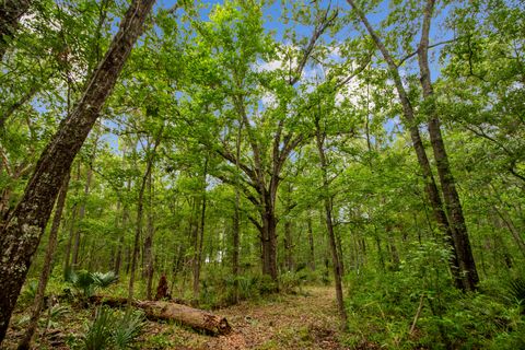  in Awendaw SC 4848 Woodville Road.jpg