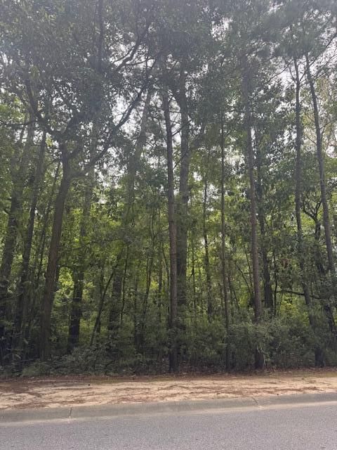  in Lincolnville SC 915 Lincolnville Avenue.jpg