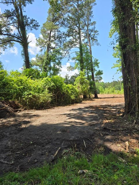  in Reevesville SC 000 Flatwoods Road.jpg