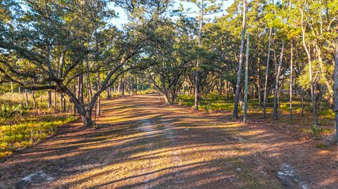  in Edisto Island SC Lot 6 King Rail Lane.jpg