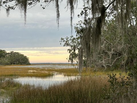 in Edisto Island SC Lot 10 Hopkins Place Drive.jpg