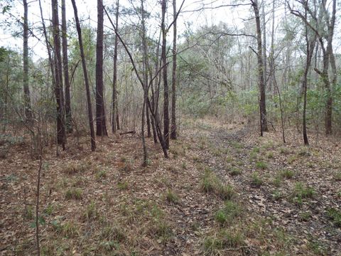  in Cordesville SC 143 Dixon.jpg