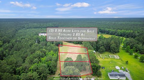  in Bonneau SC 191 Marion Woods Trail.jpg
