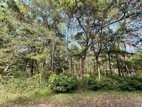  in Edisto Island SC 0 Crawford Drive.jpg