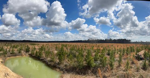  in Jericho SC 0 Savannah Highway.jpg