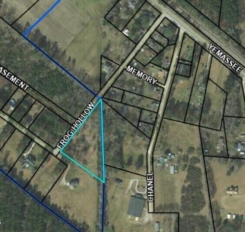  in Varnville SC 215 Frog Hollow Street.jpg