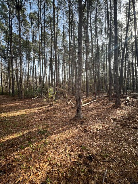  in Adams Run SC 0 Ashe Brown Road.jpg
