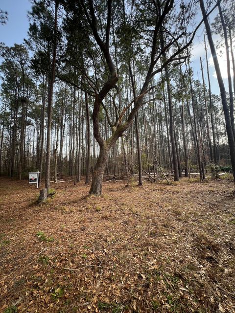  in Adams Run SC 0 Ashe Brown Road 2.jpg