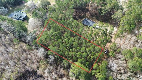  in Adams Run SC 0 Ashe Brown Road 7.jpg