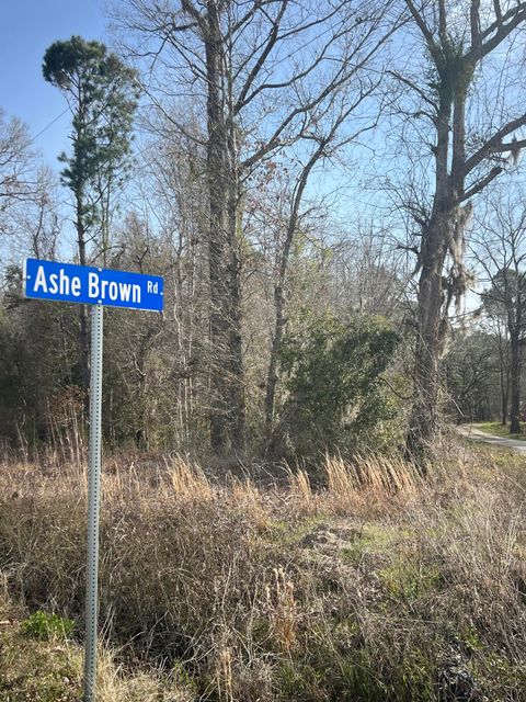  in Adams Run SC 0 Ashe Brown Road 4.jpg