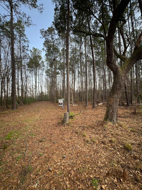  in Adams Run SC 0 Ashe Brown Road 1.jpg