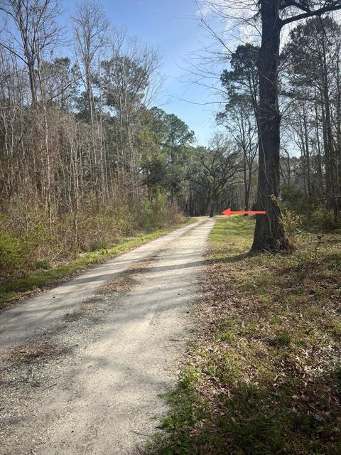  in Adams Run SC 0 Ashe Brown Road 6.jpg