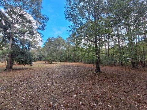  in Summerville SC 00 Ashley River Road.jpg