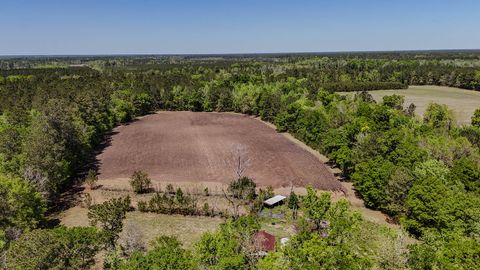  in Walterboro SC 1296 Risher Mountain Road.jpg