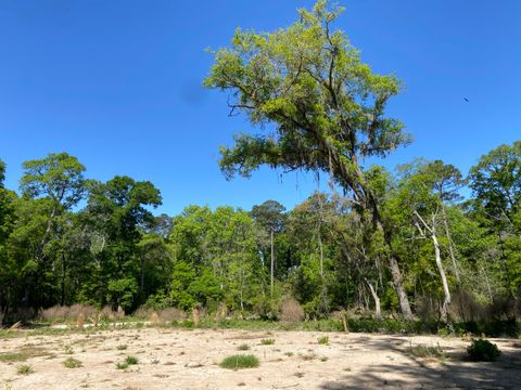  in Wadmalaw Island SC 6079 Josie Ridge Road.jpg
