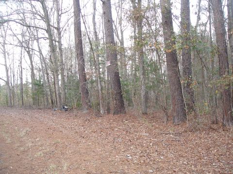  in Adams Run SC 5563 Mauss Hill Rd. Rd 2.jpg