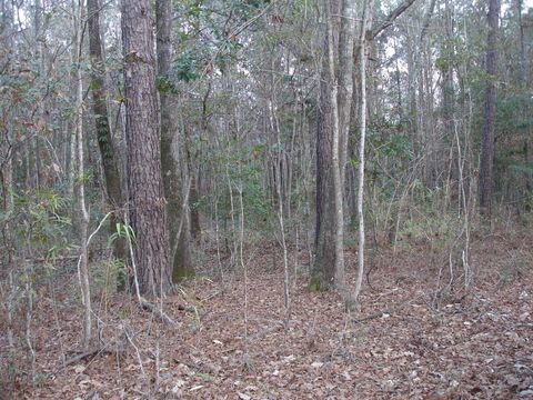 in Adams Run SC 5563 Mauss Hill Rd. Rd 1.jpg
