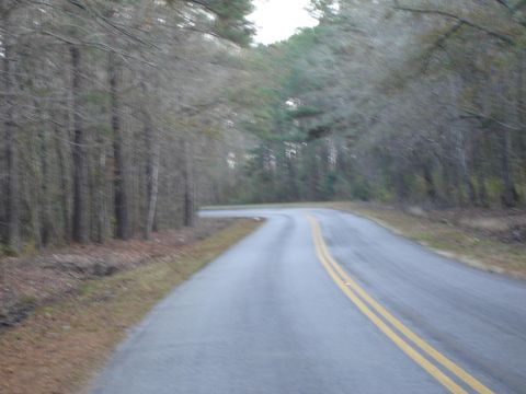  in Adams Run SC 5563 Mauss Hill Rd. Rd.jpg