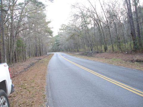  in Adams Run SC 5563 Mauss Hill Rd. Rd 3.jpg