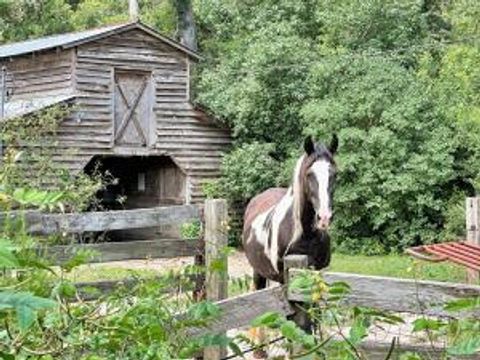 in Cottageville SC 781 Clydeville Lane.jpg