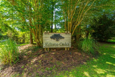  in Edisto Island SC 983 Seaside Lane.jpg